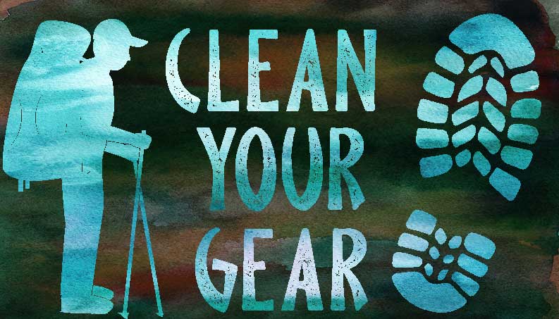Keep It Clean: On The Importance of Cleaning Your Gear