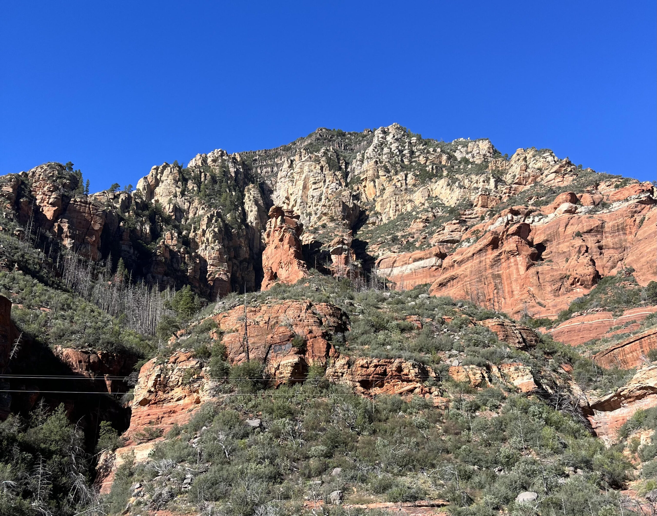 Oak Creek Canyon Coconino National Forest Fall Wilderness Volunteers 2227