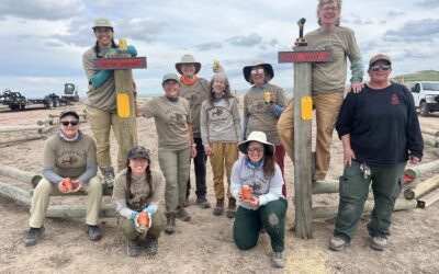 Women’s Volunteer Stewardship Projects